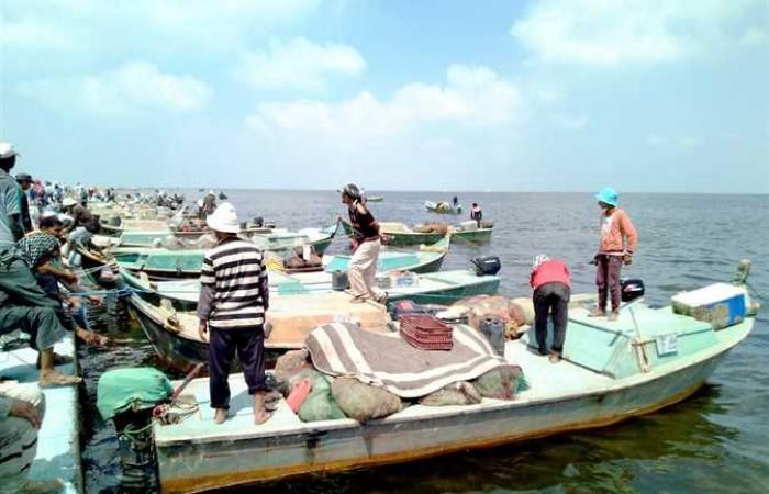 رئيس هيئة الثروة السمكية يكشف إنتاج مصر من الأسماك ونصيب الفرد من الناتج المحلي