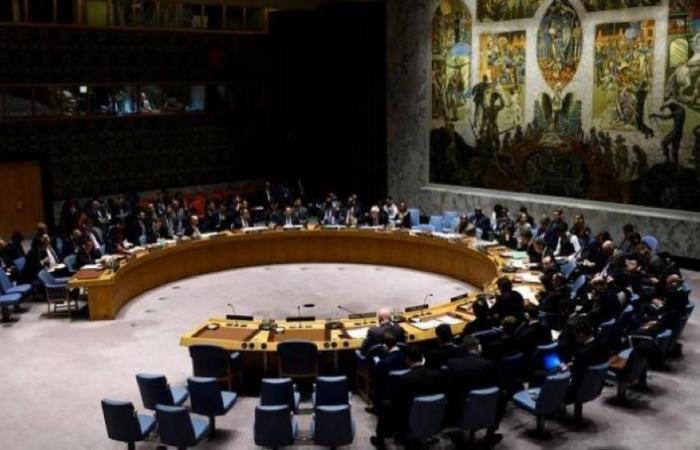 مجلس الأمن الدولي يدين هجمات إرهابية استهدفت الإمارات والمملكة