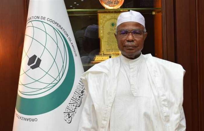«التعاون الإسلامي» تدين الهجوم الإرهابي بمالي