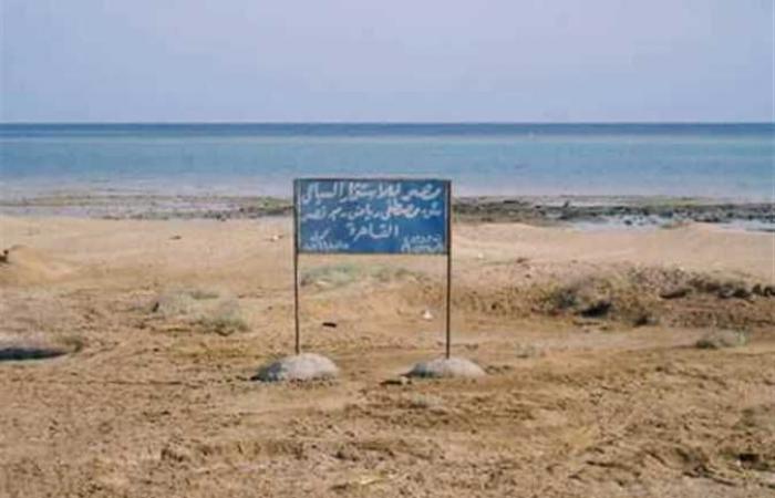 مطالب بسحب أراضي التنمية السياحية في البحر الأحمر لمخالفة شروط التخصيص والتعاقد