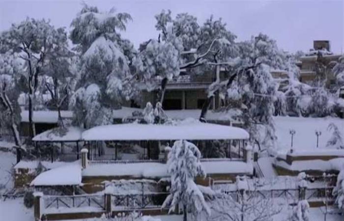 العاصفة ياسمين تضرب لبنان والأرصاد تحذر من الثلوج على ارتفاع 800 متر (صور وفيديو)