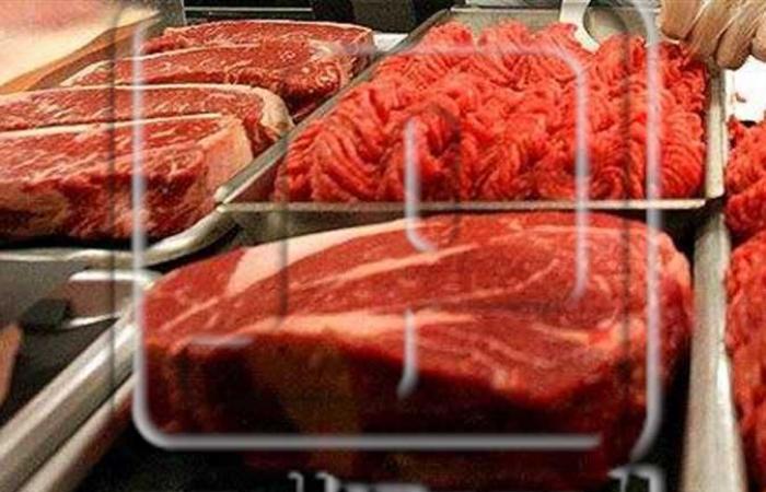 لماذا ارتفعت أسعار اللحوم .. نقابة الأطباء البيطريين ترد