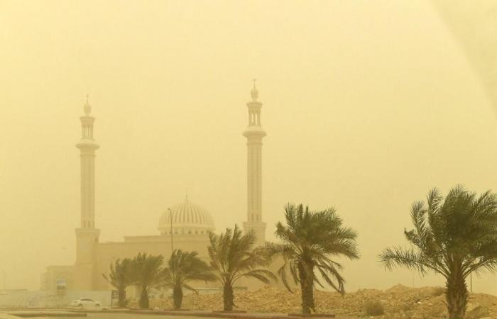 مستشفيات الرياض تستقبل 1369 حالة تنفسية طارئة بسبب الغبار - #عاجل