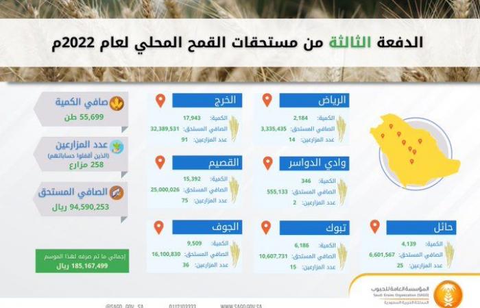 الحبوب السعودية تصرف مستحقات الدفعة الثالثة لمزارعي القمح المحلي