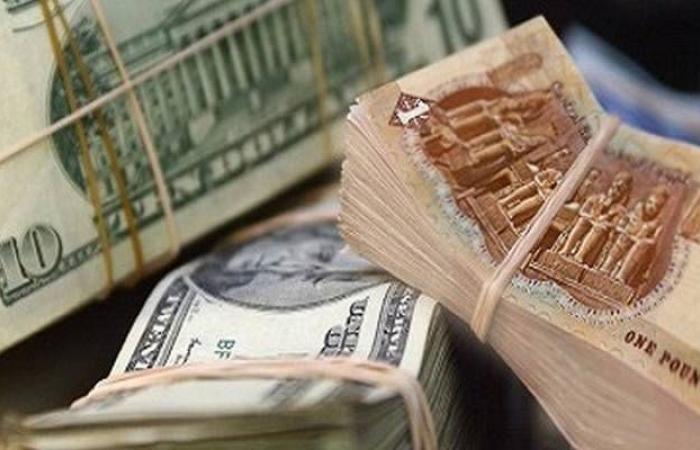 الدولار يستقر في بنكي مصر والأهلي ويواصل الارتفاع أمام الجنيه في بنوك أخرى