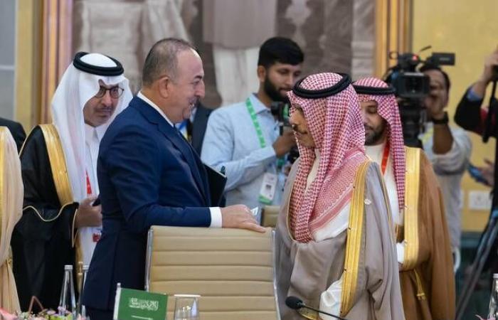 وزير الخارجية السعودي يؤكد على ضرورة الحفاظ على الاستثمار بجميع مصادر الطاقة