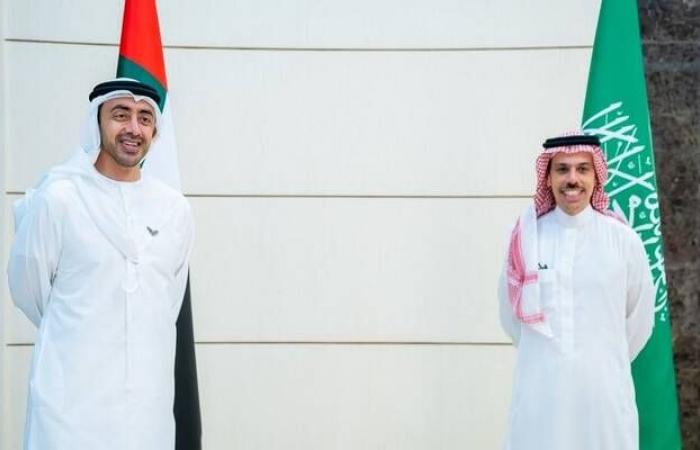 الإمارات والسعودية تناقشان أهمية استئناف العلاقات الدبلوماسية مع إيران