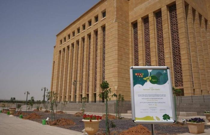 مبادرة جامعة خضراء مستدامة في جامعة الأميرة نورة