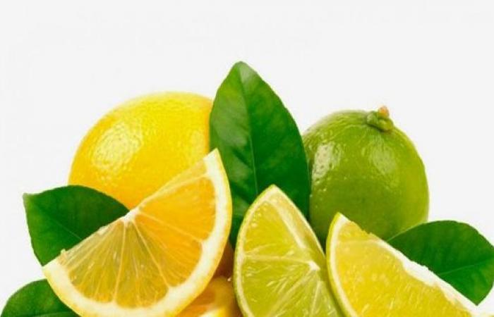 الاردن : توضيح من الأمانة حول ضبط شحنة من الليمون المصري