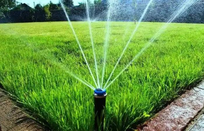 البيئة السعودية تحدد أنجح أنظمة الري الموفّرة لاستهلاك المياه بالزراعة المنزلية