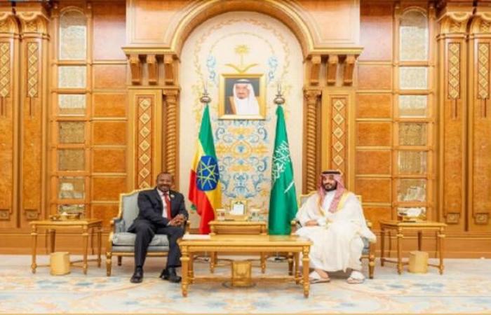 ولي العهد ورئيس وزراء إثيوبيا يبحثان فرص التعاون المشترك في مختلف المجالات