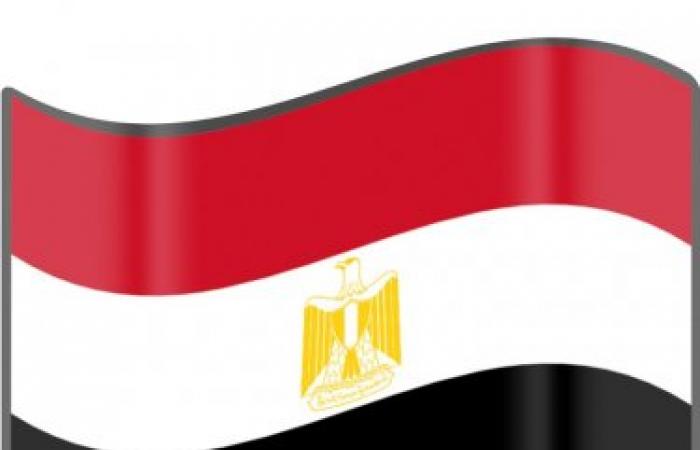 الأمن القومي المصري..ماذا يعني؟
