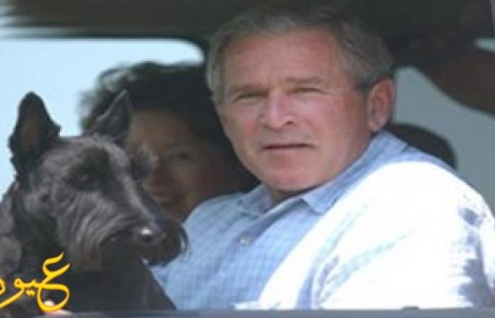 حقيقة القبض على جورج بوش وبحوزته كوكايين