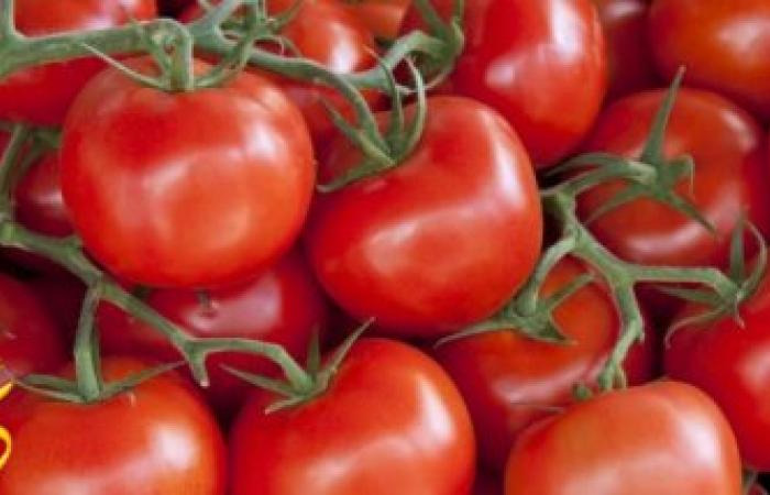  اسرع واسهل طريقة للتخسيس عن طريق الطماطم … وصفة سحرية رائعة