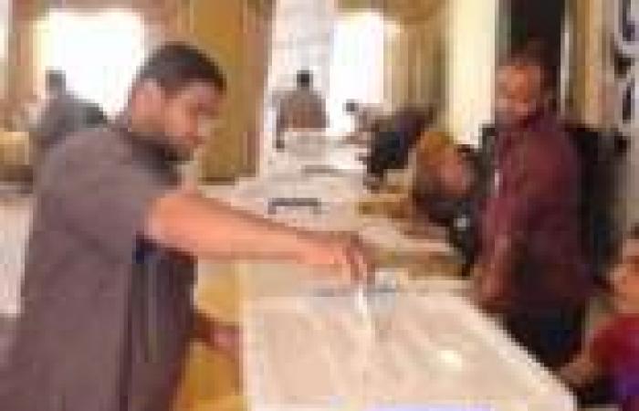 المعهد المصري الديمقراطي: لم نرصد أي تأثير على الناخبين في انتخابات "الدستور"