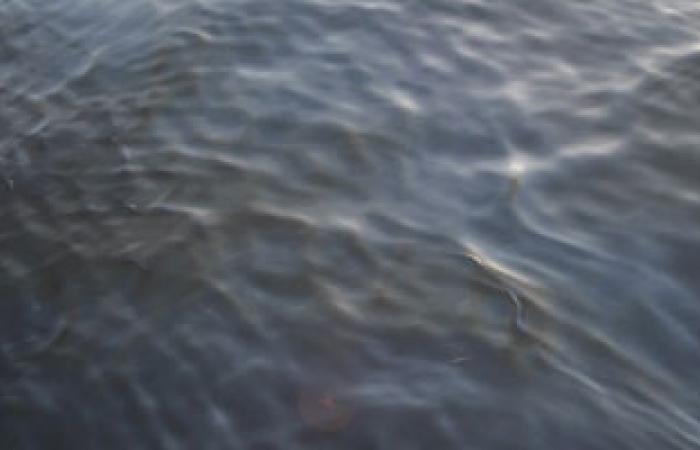 رصد بقعة زيت على سطح مياه البحر الأحمر شمال الغردقة