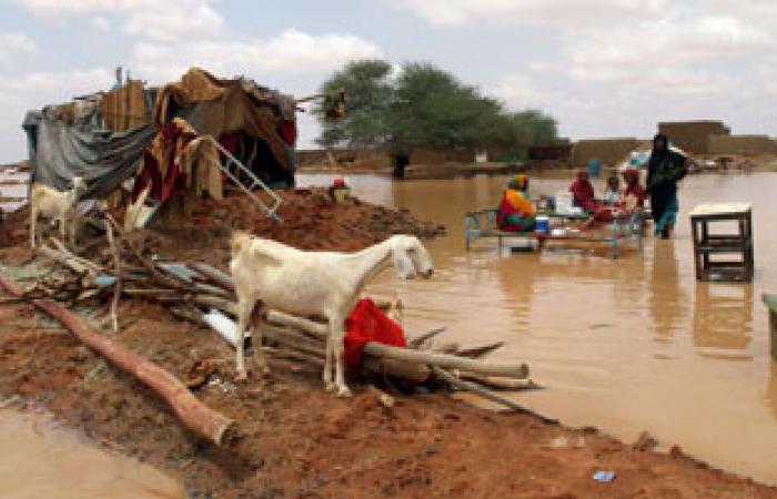 الأمم المتحدة:150 ألف منكوب بسبب الفيضانات فى السودان