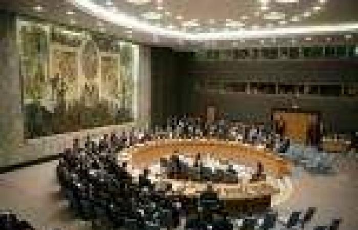 مندوب مصر لدى الأمم المتحدة: مجلس الأمن لم يتخذ أي موقف تجاه مصر خلال اجتماعه
