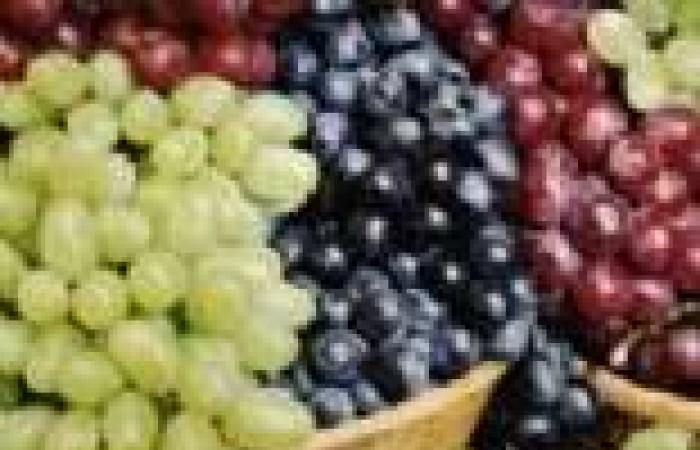 دراسة: العنب "ملك الفواكه" يقلل خطر الإصابة بالنوبات القلبية وجلطات الدم