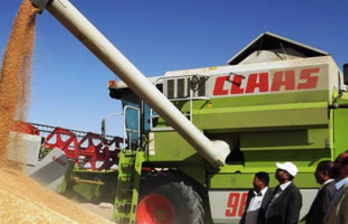 تجار: السعودية تطرح مناقصة لشراء 660 ألف طن من القمح الصلد