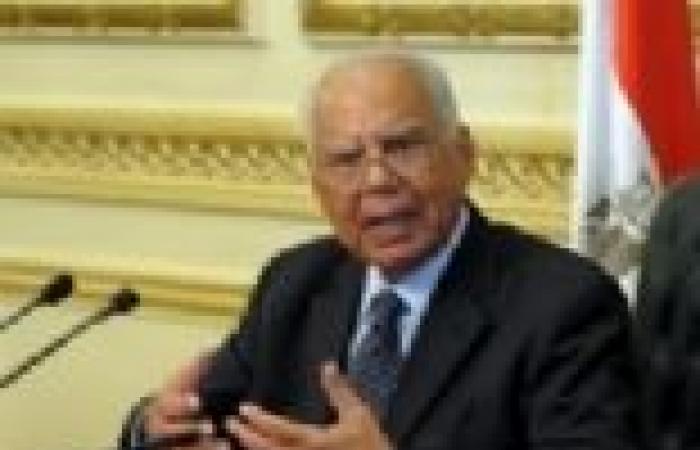 "الببلاوي" يلتقي "فهمي" للاطلاع على نتائج زيارته للدول العربية