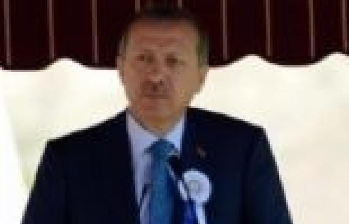 تركيا: «أردوغان» يجتمع مع «أوباما» لمناقشة الأوضاع فى سوريا فى قمة العشرين