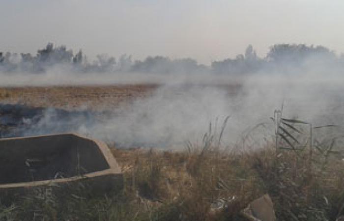 41 مخالفة حرق قش الأرز للفلاحين بقرى دمياط