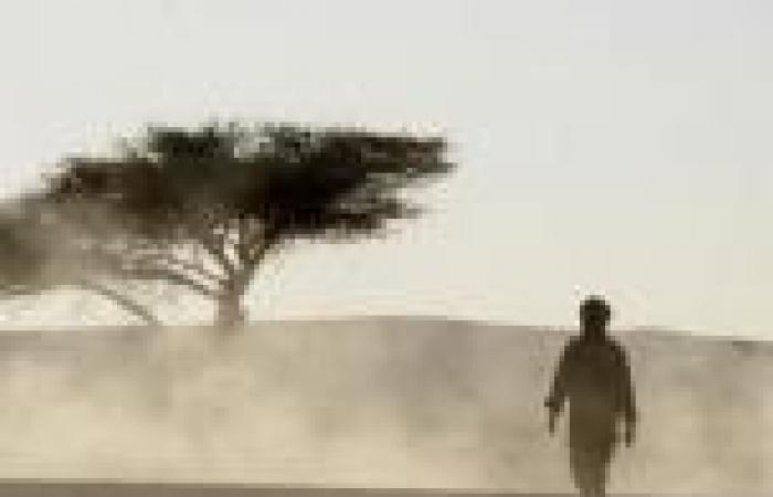 «الصحراء الغربية» تحيي الأزمة بين الجزائر والمغرب