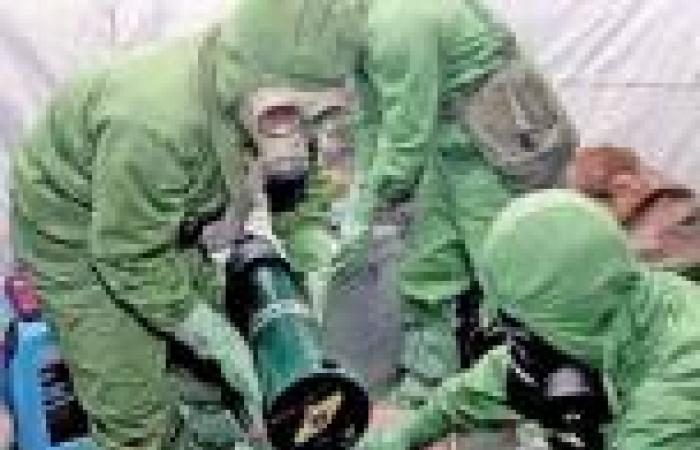الأمم المتحدة: الأسلحة الكيماوية استخدمت عدة مرات في سوريا