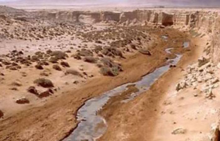 مسئول جزائرى:تسوية ملف الصحراء الغربية يحل مشكلات منطقة المغرب العربى
