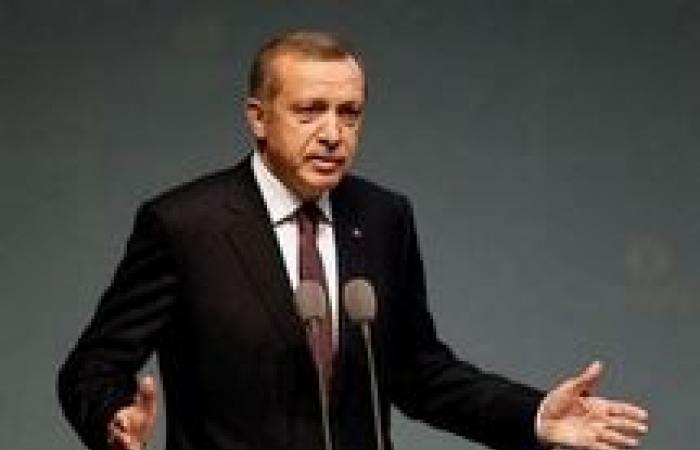 مستشار «أردوغان» يتهم إسرائيل وألمانيا بالضلوع في «حملة الاعتقالات»