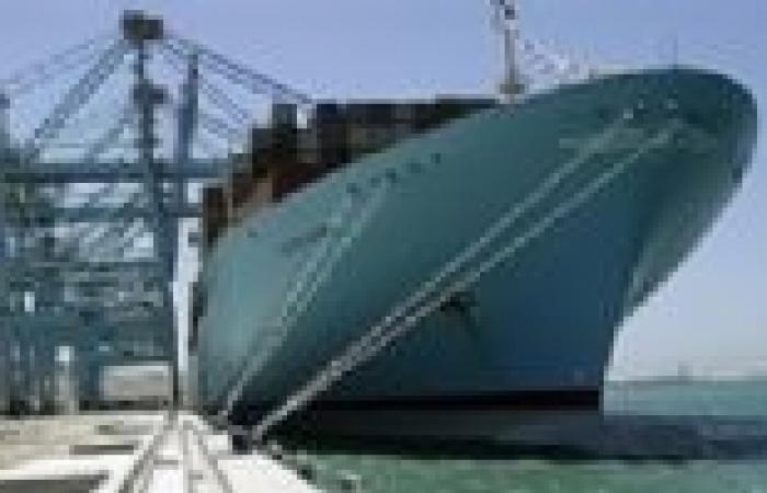 وصول 6 سفن حاويات وبضائع عامة إلى ميناء دمياط