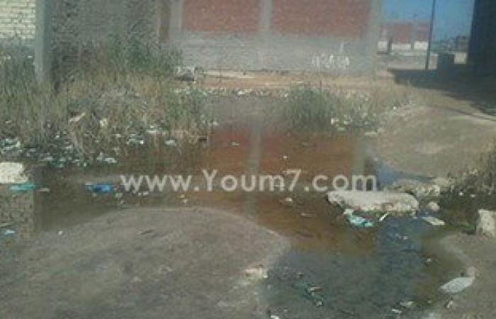 بالصور.. مياه الصرف الصحى تغرق منازل أهالى قرية أبيس بالإسكندرية