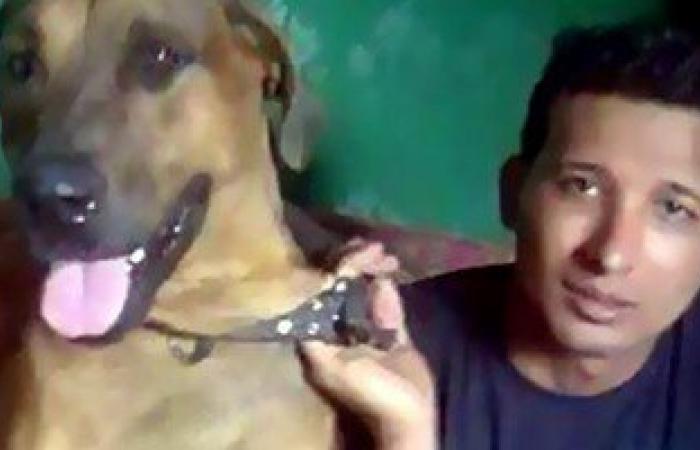 قبول استئناف المتهمين بذبح "الكلب ماكس" على حكم حبسهم 3 سنوات
