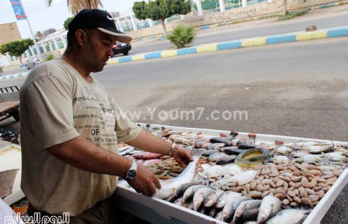 بالصور.. سوق السمك بالإسماعيلية يشهد ارتفاعا فى الأسعار