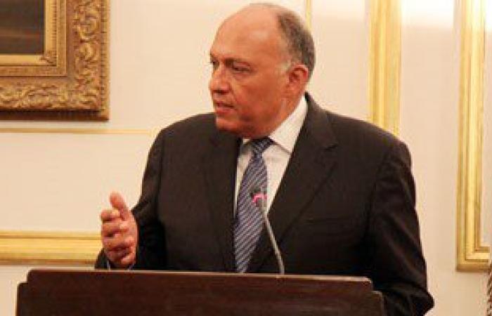 سفير مصر بالمكسيك: الجانب المكسيكى ينتظر نتائج تحقيقات "حادث الواحات"