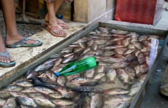 القابضة للصناعات الغذائية:توفير الأسماك على بطاقة التموين بـ7جنيهات للبلطى