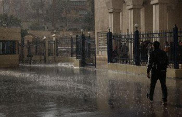 تجدد هطول الأمطار بالإسكندرية مع هبوب رياح شديدة