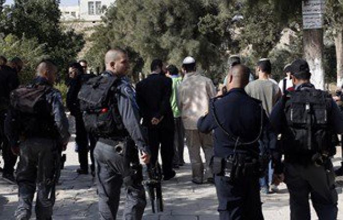 مستوطنون يجددون اقتحامهم للمسجد الأقصى المبارك تحت حراسة شرطة الاحتلال