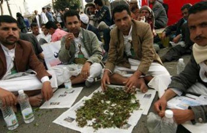 السلطات اليمنية تقرر منع  تعاطى "القات" بعدن ماعدا يومى الخميس والجمعة