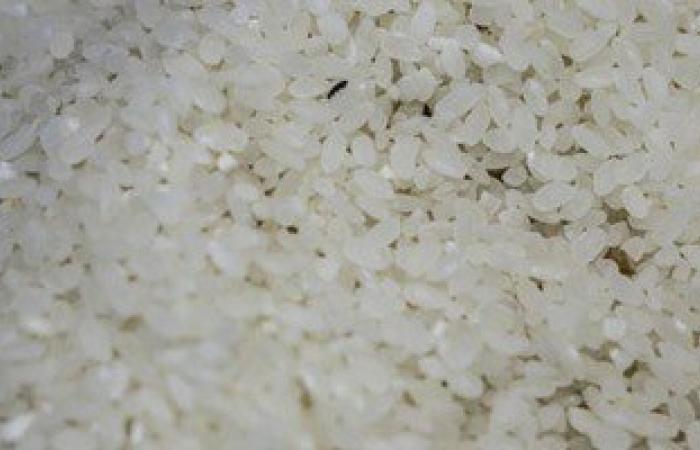 شعبة البقالة بالإسكندرية: الحكومة أوقفت تصدير الأرز بعد خراب مالطة