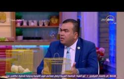 السفيرة عزيزة - د/ يوسف العبد " عضو نقابة البيطريين " ... تربية الدواجن في المنزل