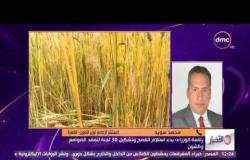 الأخبار - رئاسة الوزراء : بدء إستلام القمح وتشكيل 30 لجنة لتفقد الصوامع والشون