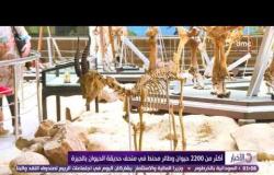 الاخبار - متحف حديقة الحيوان... أكثر من 2200 حيوان وطائر محنط فى متحف حديقة الحيوان بالجيزة
