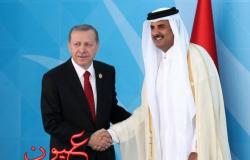 الحكم بدعوى إبعاد رعايا دولتي قطر وتركيا عن مصر في 23 مايو الجاري