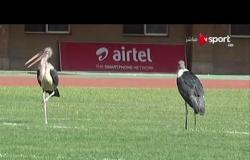 صباح العالم - كاميرا ONSPORT ترصد ملعب مباراة أوغندا ومصر