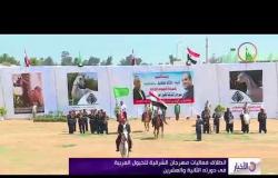 الأخبار - انطلاق فعليات مهرجان الشرقية للخيول العربية في دورته الثانية والعشرون