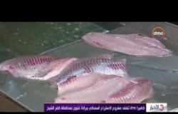 كاميرا dmc تتفقد مشروع الأستزراع السمكي ببركة غليون بمحافظة كفر الشيخ