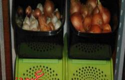 7 أخطاء تجنبيها عند تخزين الطعام.. منها وضع البطاطس بجوار البصل