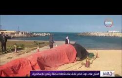 الأخبار - العثور على حوت ضخم نافق على شاطئ منطقة رشدي بالإسكندرية